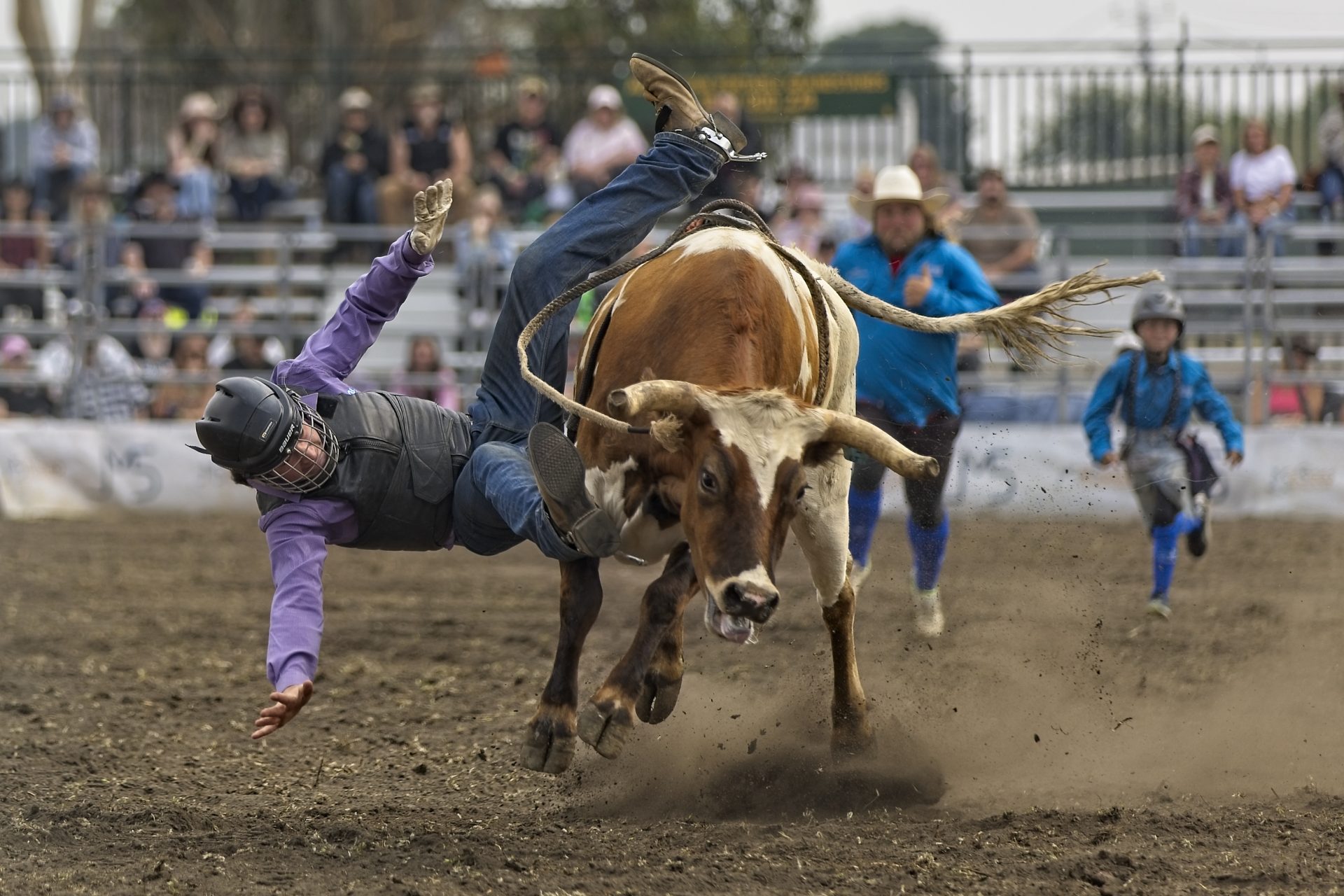 Bucking Bull