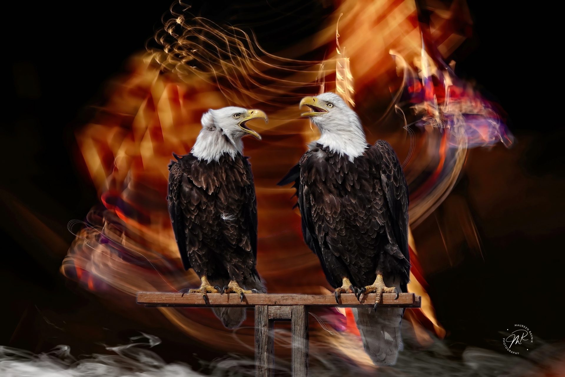 Political Aspirations