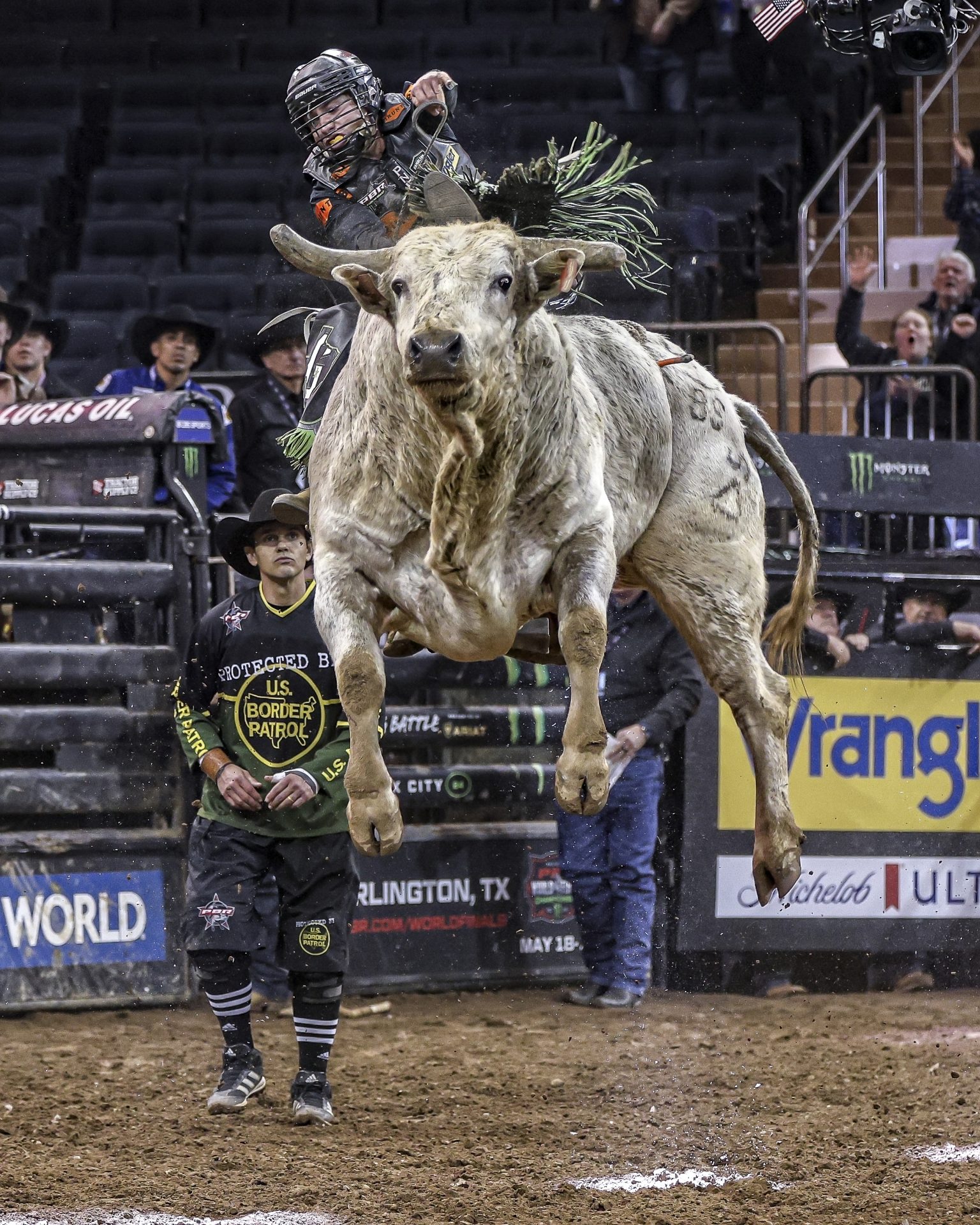 Jumping PBR Bull