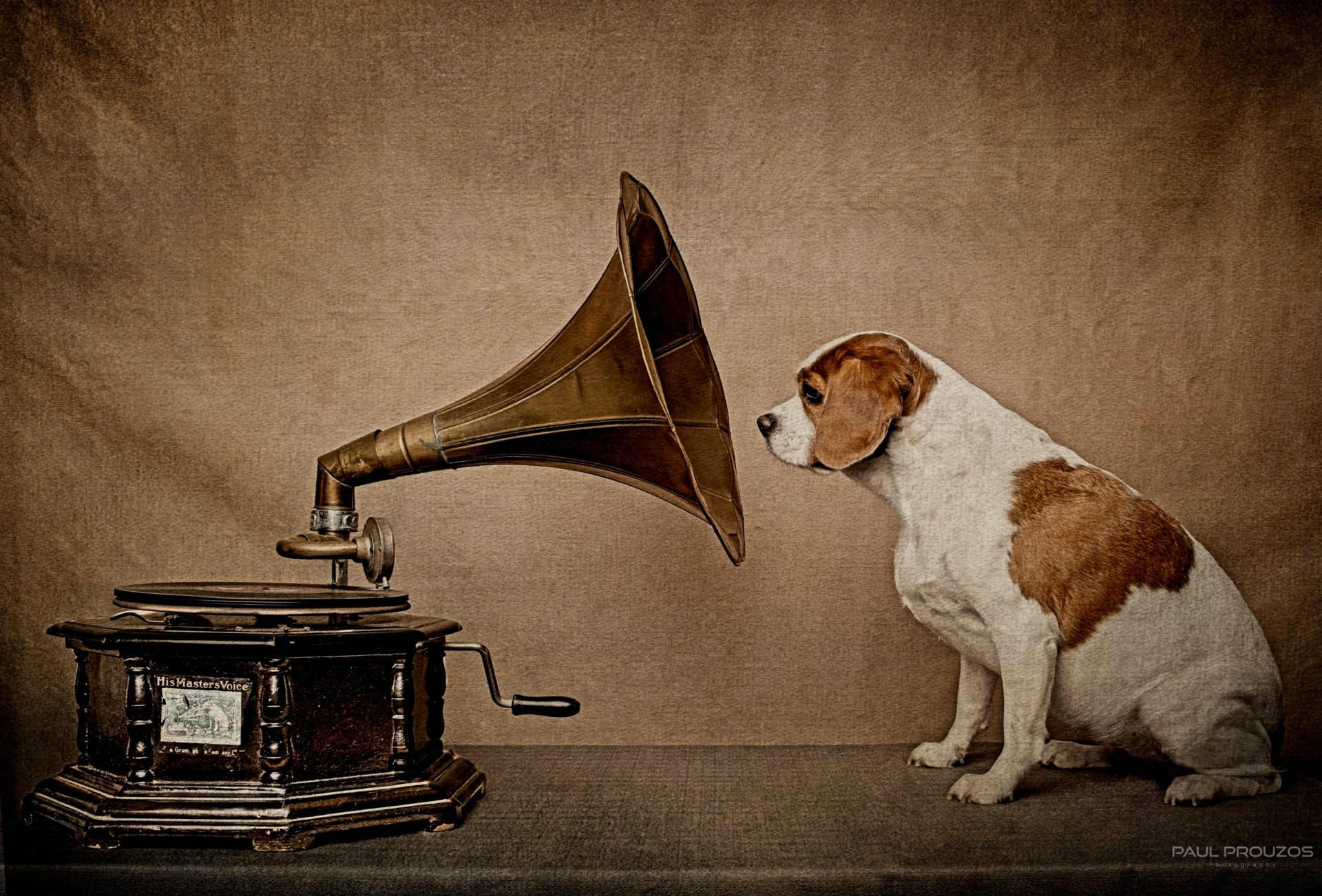 Her Masters Voice