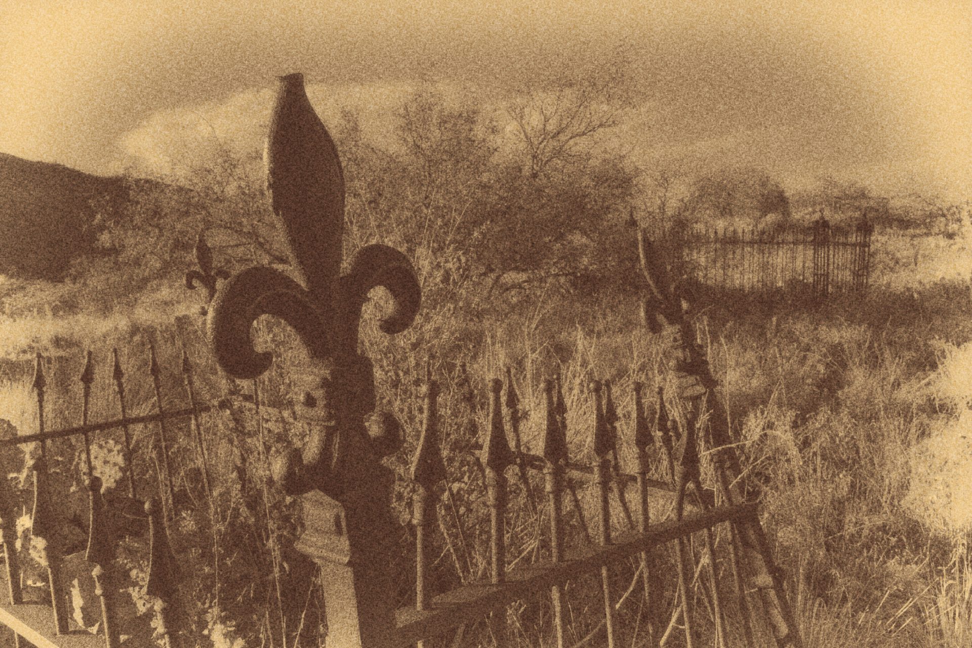 An iron fleur-de-lis on a fence around a grave.