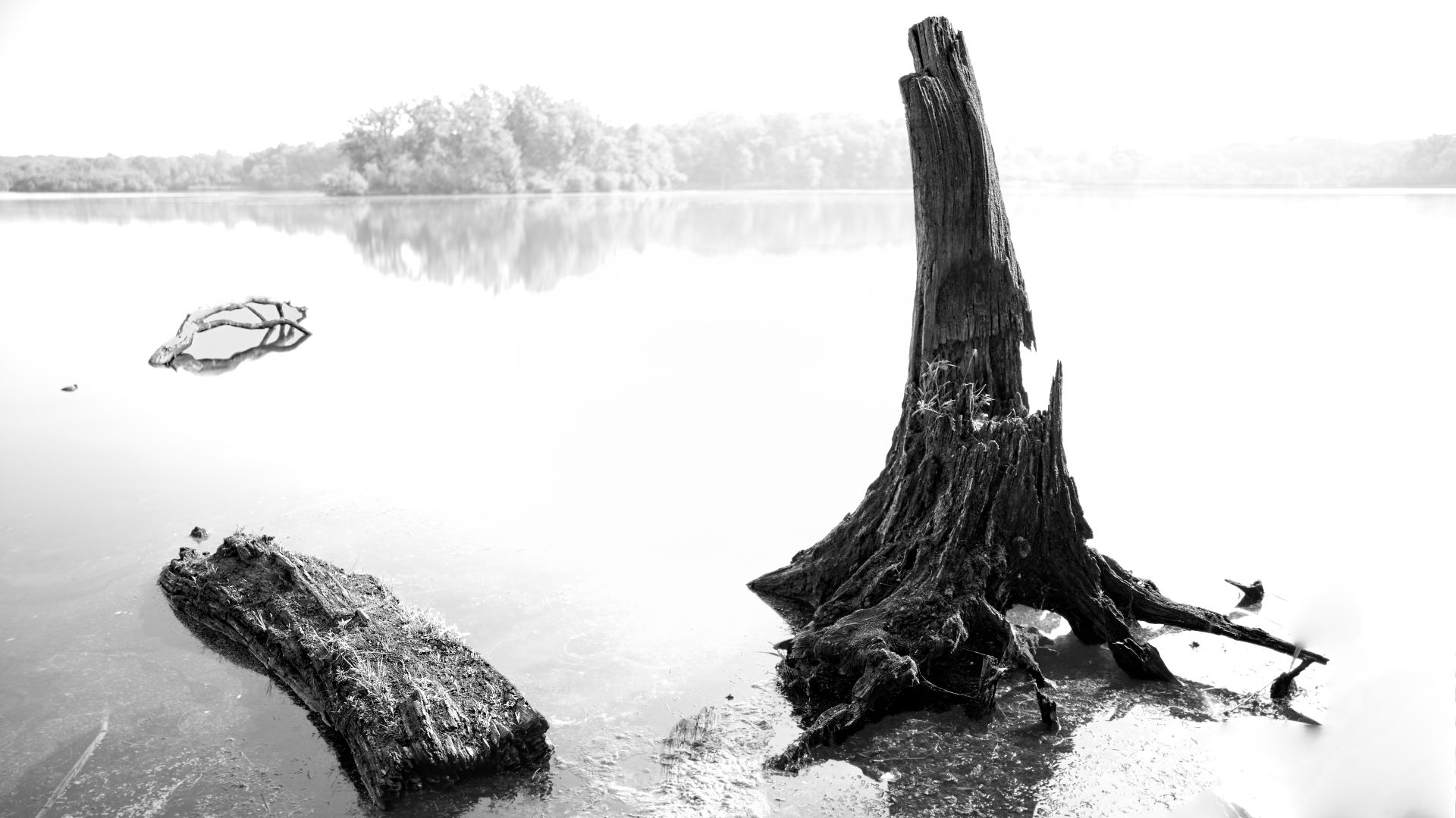 Cradle of Life