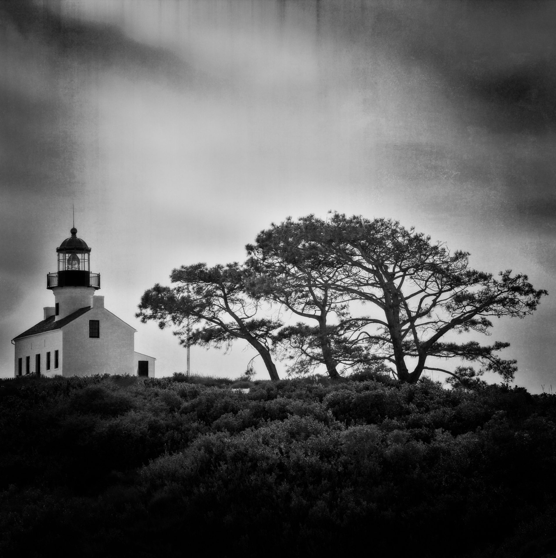 The Old Sentry