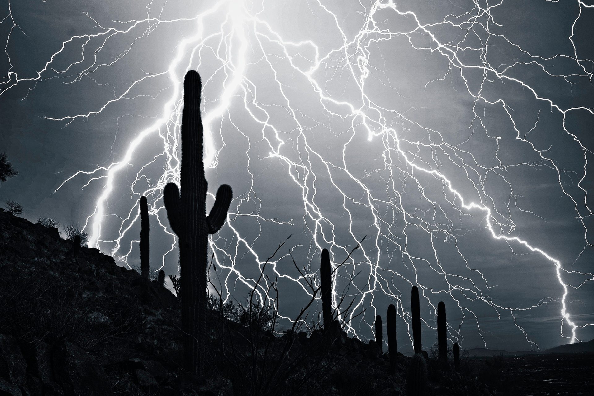Electrifying Desert