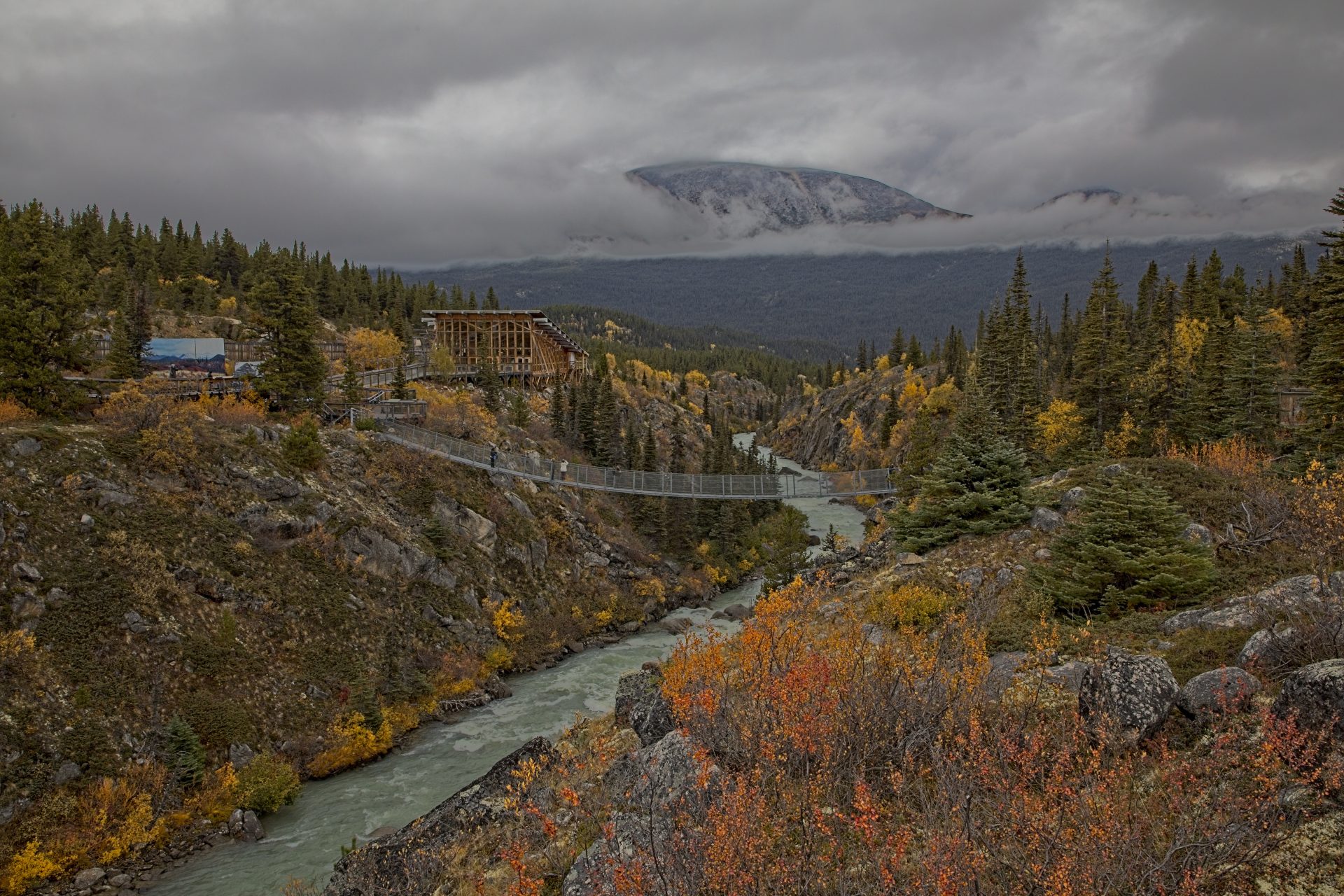 Fall at the Yukon Suspension bridge in Canada