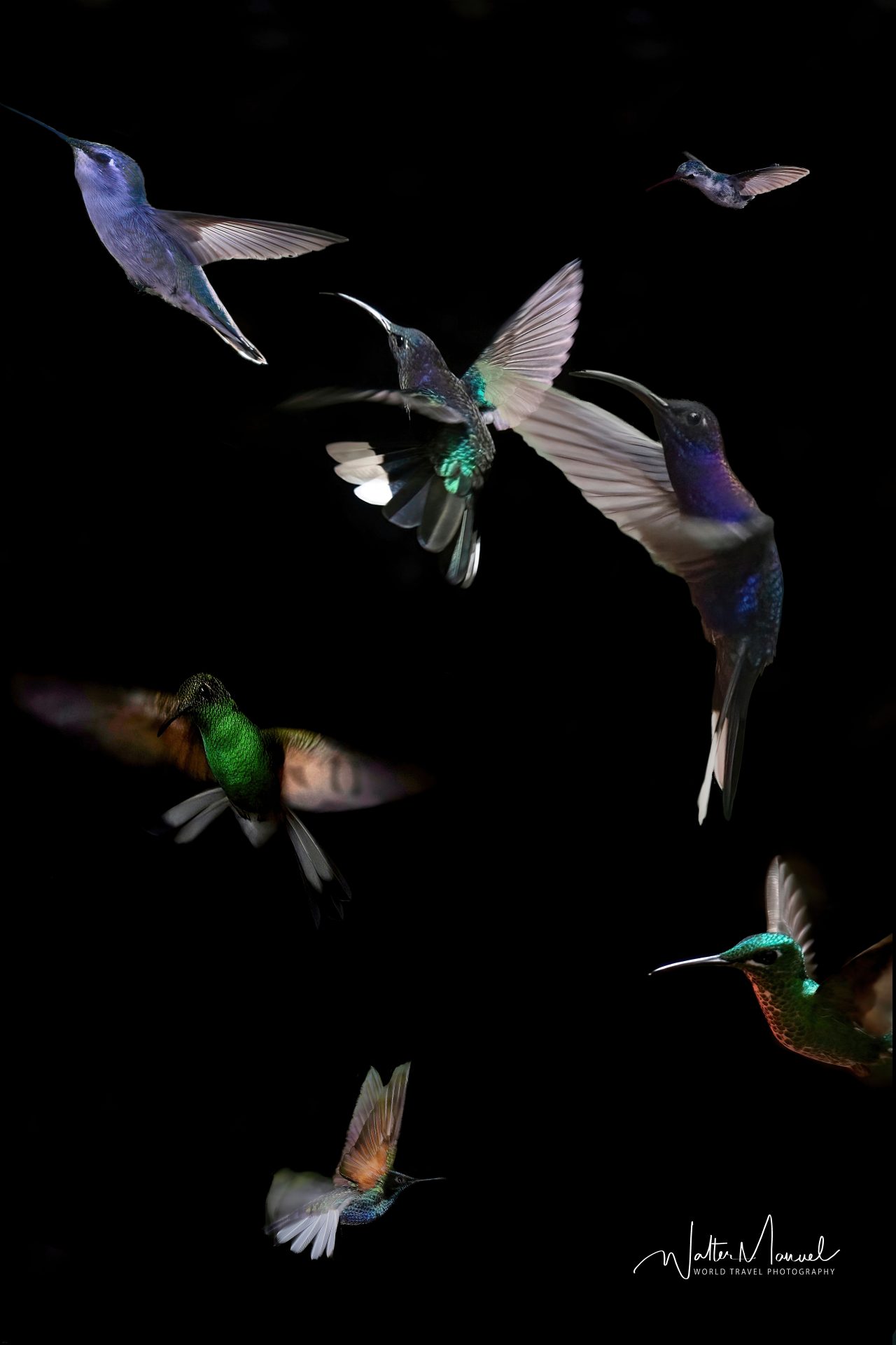 Medley Of Flights
