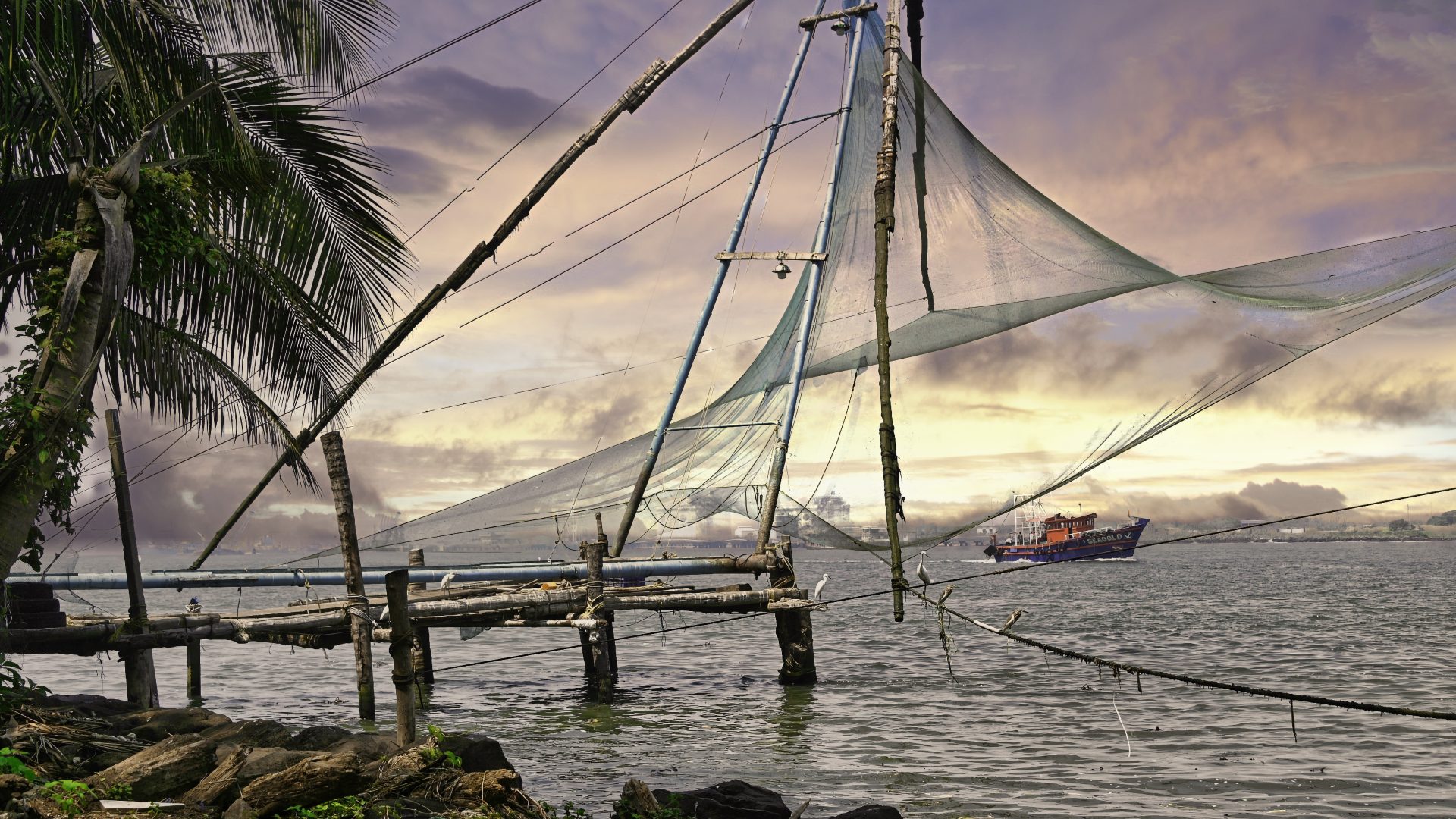 Fishing Nets
