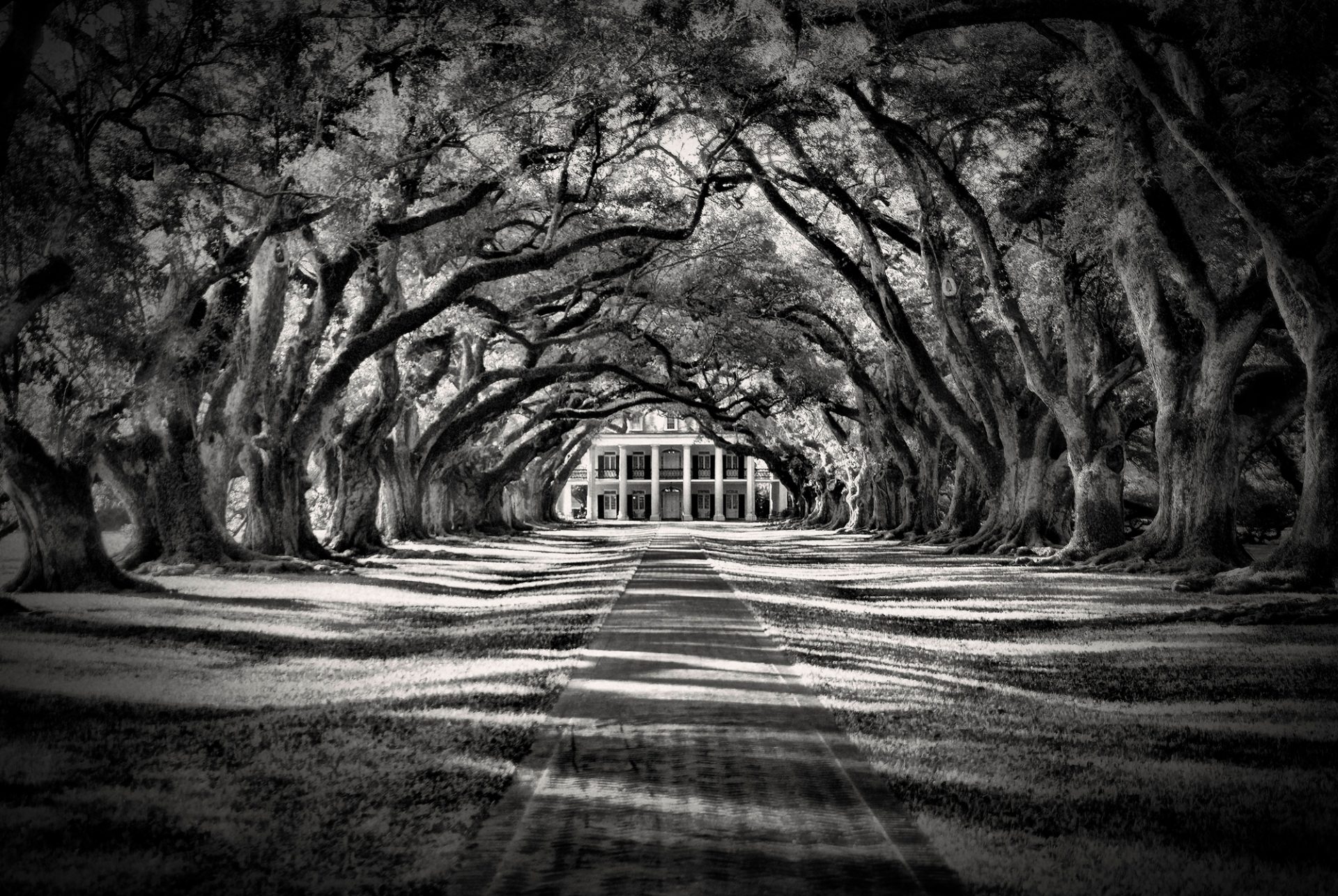 Oak Alley Plantation