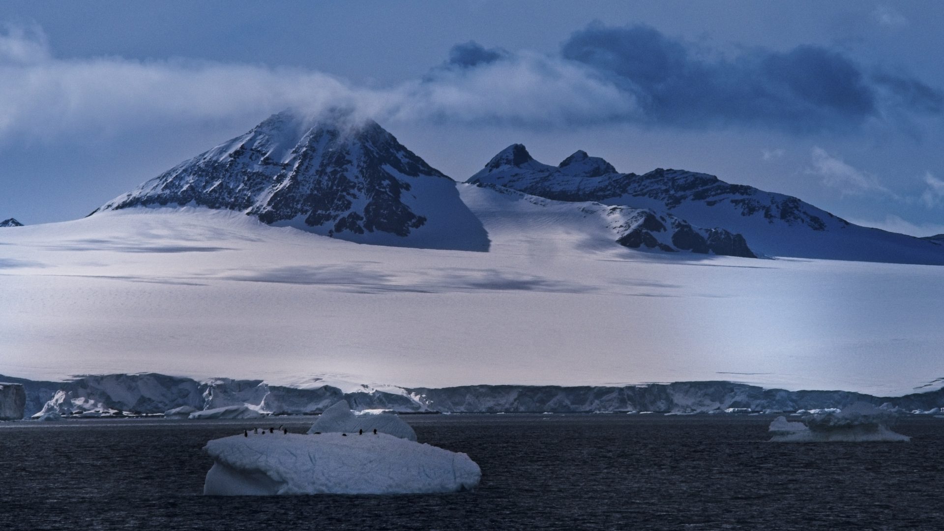 Penguins on Ice