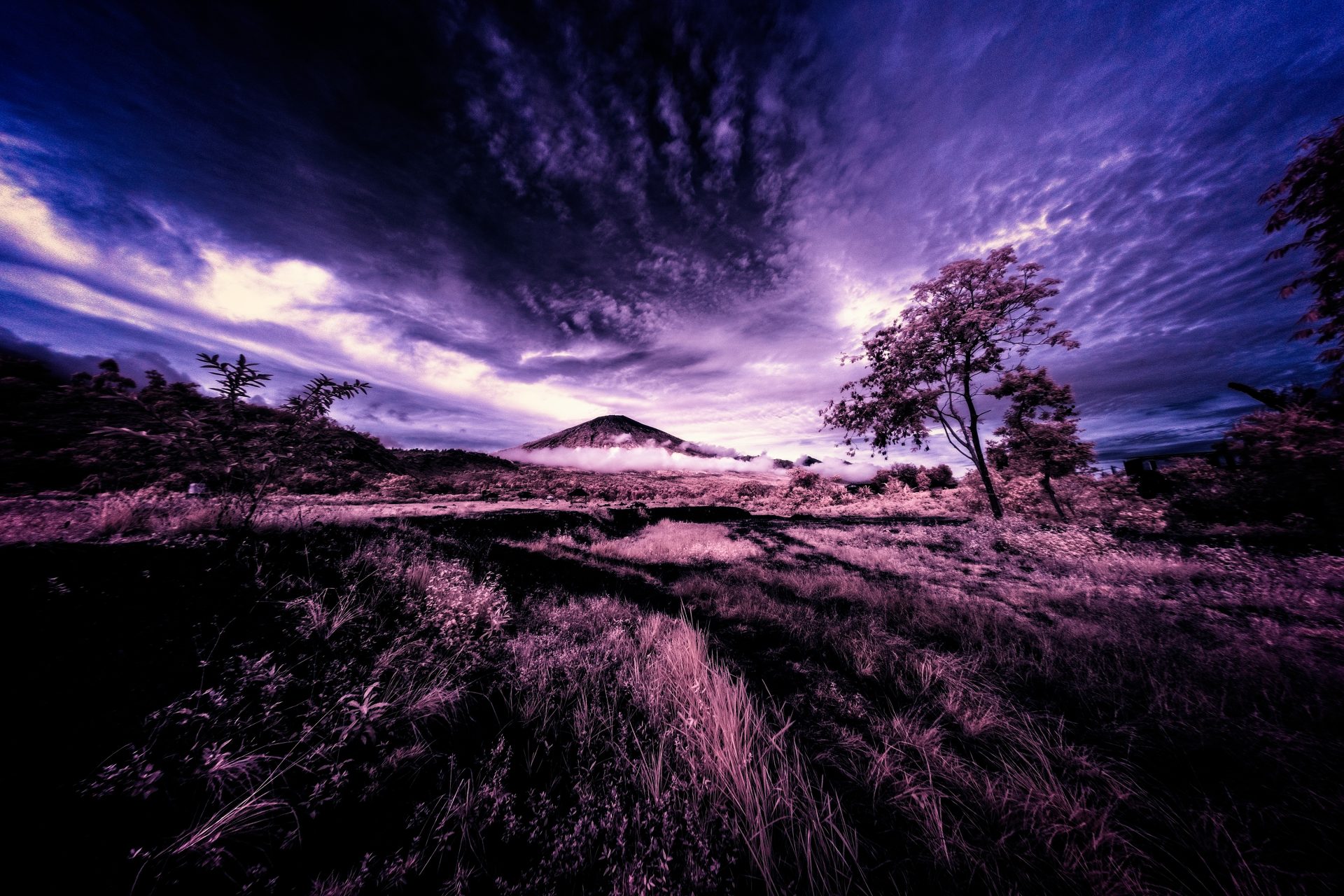Volcanorama
