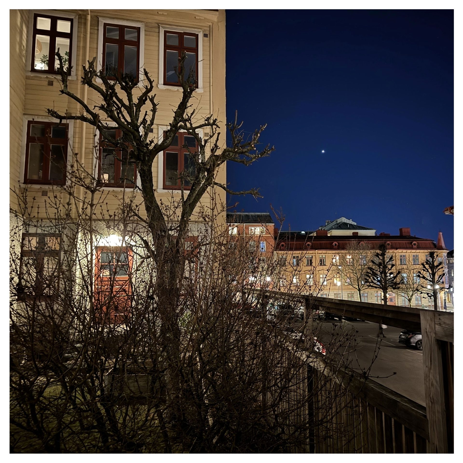 Venus