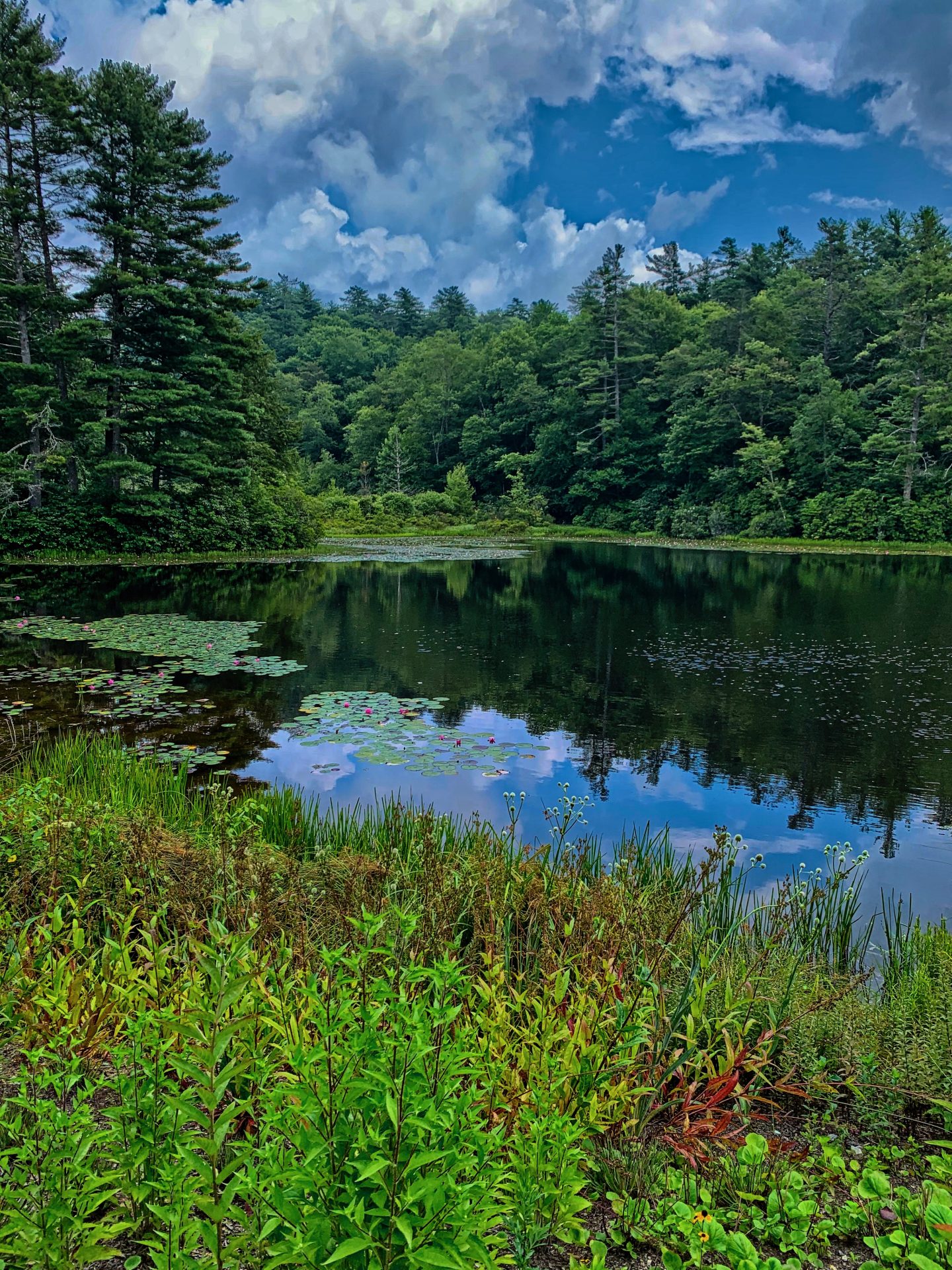 Highlands Biological Station