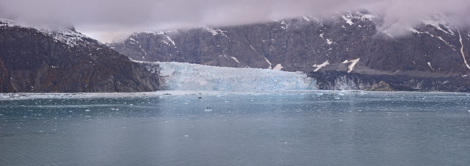 Margerie Glacier (panorama)