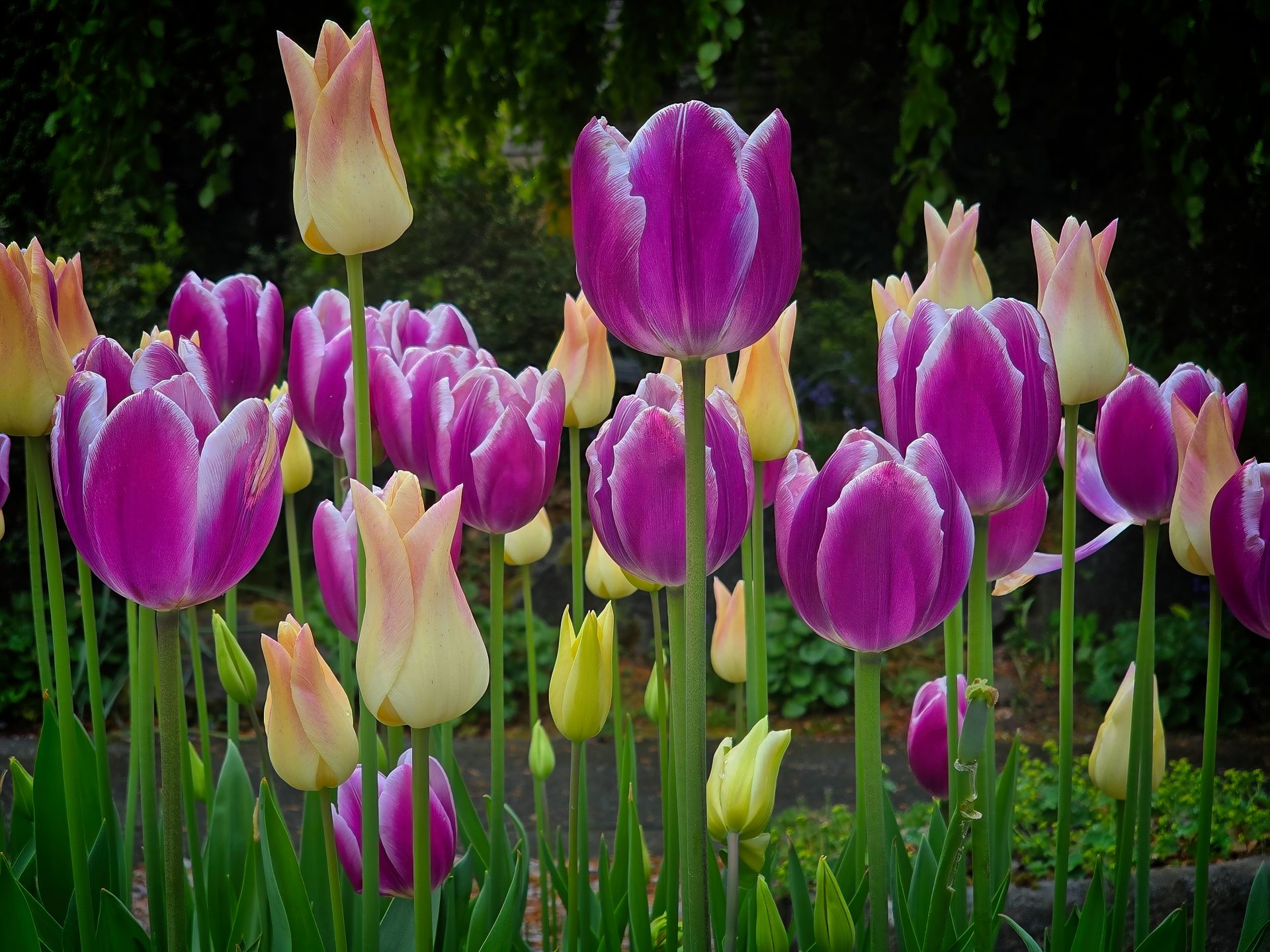 Vandusen Botanical Gardens – Vancouver