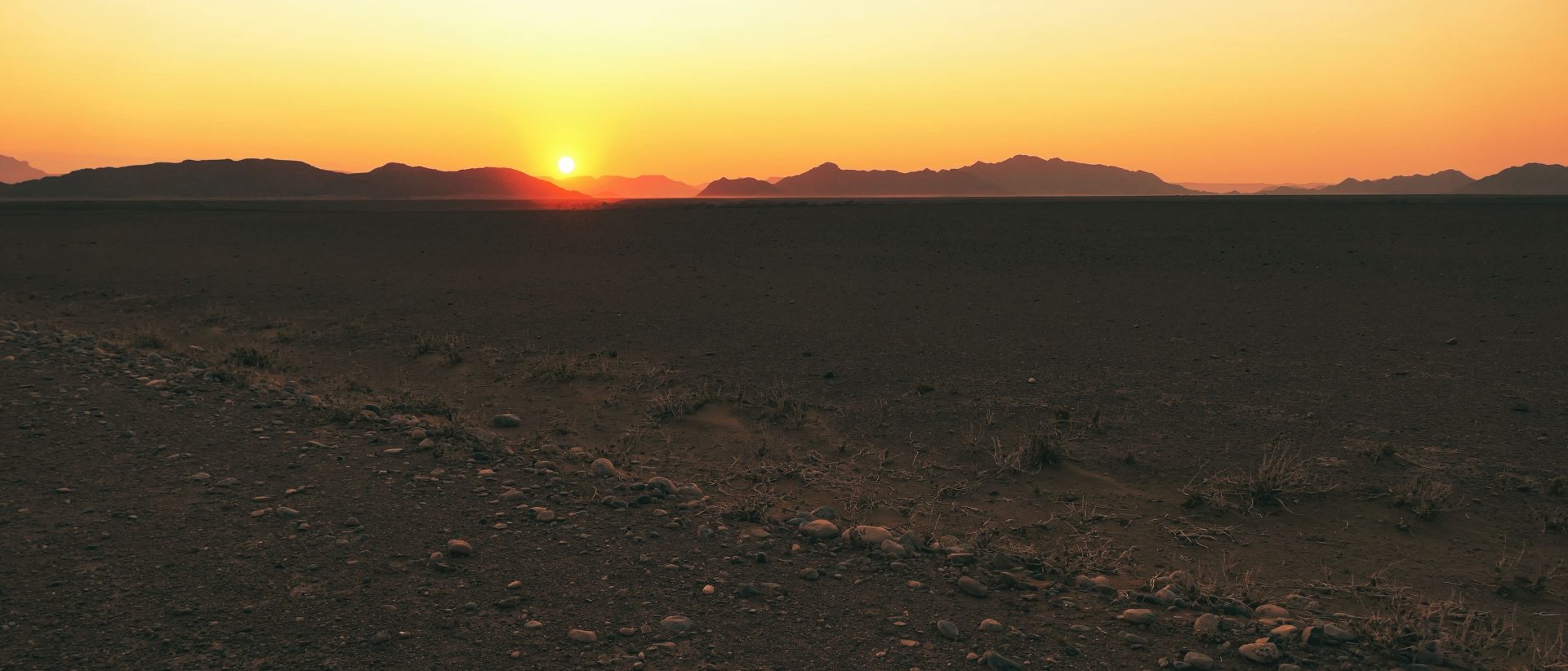 Desert Morning