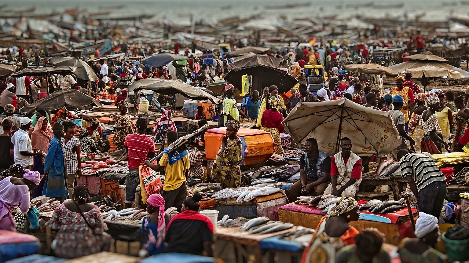 Fish market in M’Bour / Senegal