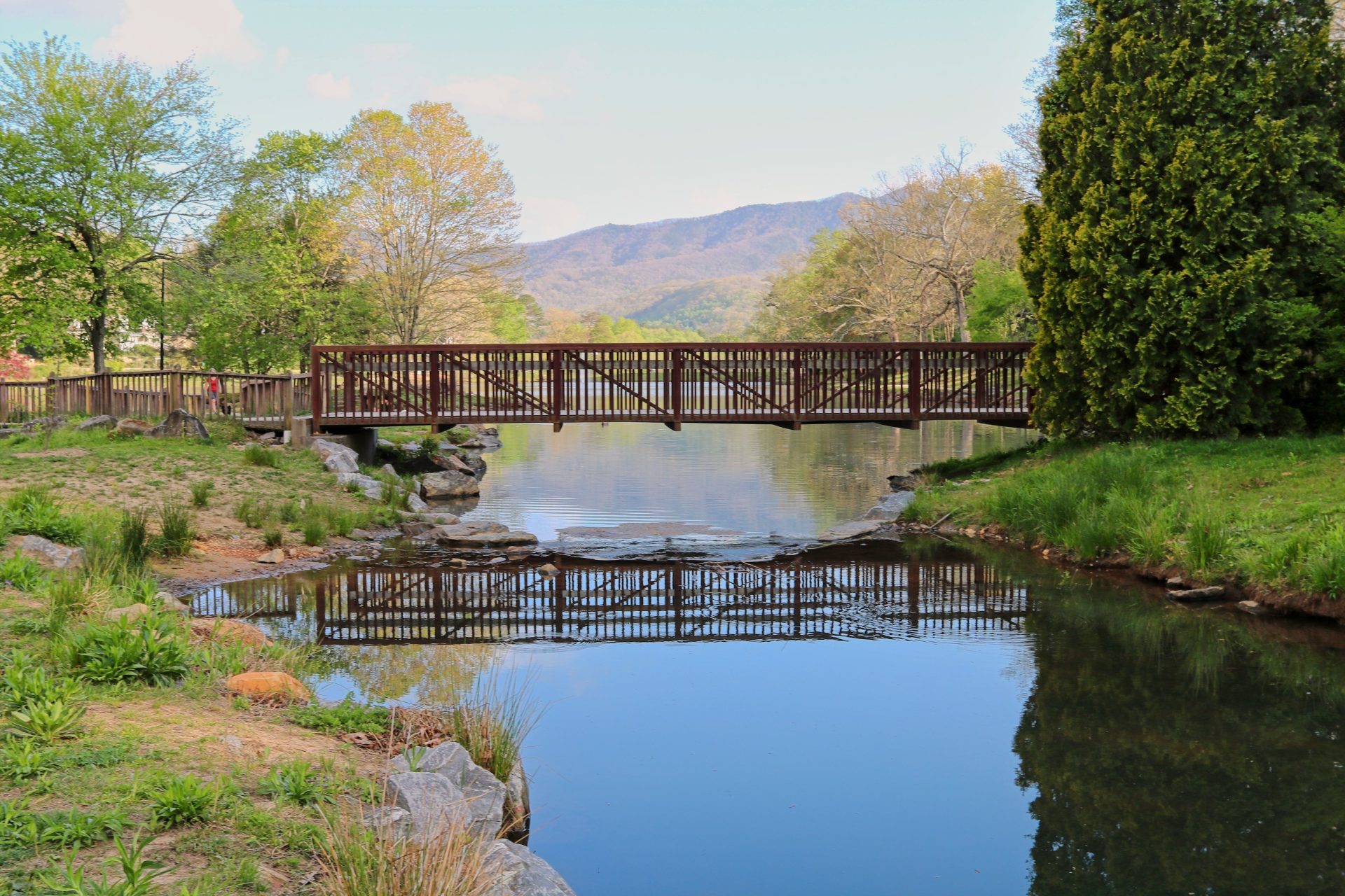 Bridge Reflection