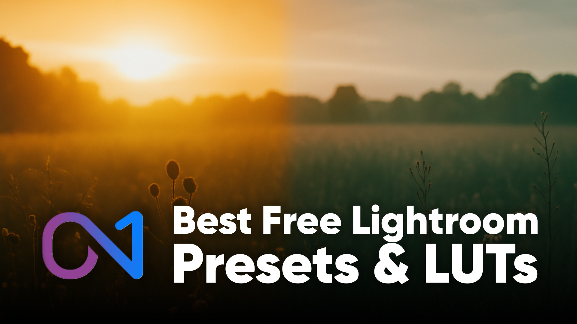 free presets and luts from ON1 banner