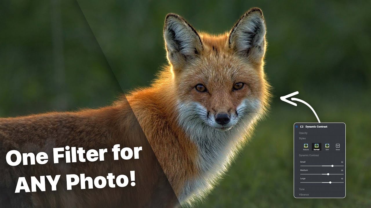 The Must-Have Filter EVERY Photo Needs – Dynamic Contrast in ON1 Photo RAW
