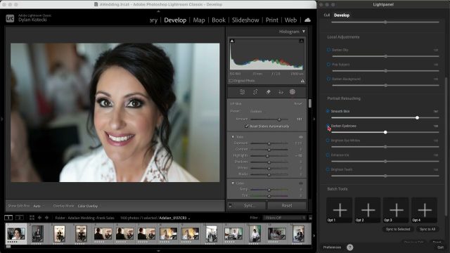 Effortless Portrait Retouching in Lightroom with Lightpanel