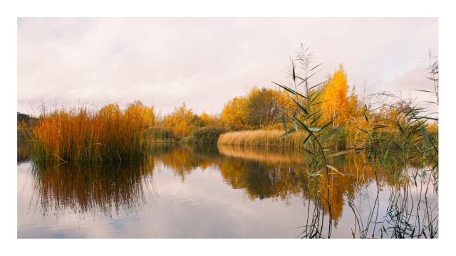 Essence of Fall Presets