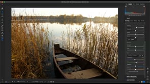 Fall – Live Edit