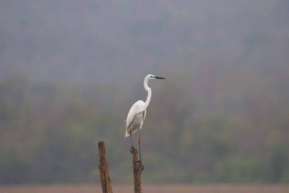 Low-Key Strong - Before