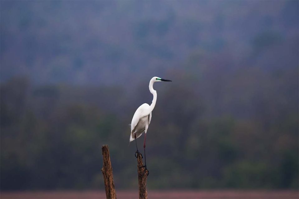 Low-Key Strong - After