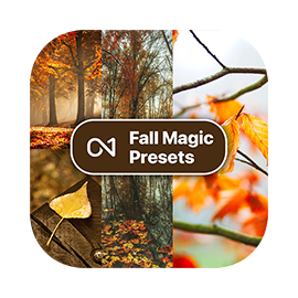 Fall Magic Presets 
