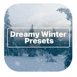 ON1 Dreamy Winter Presets 