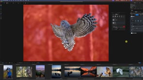 Photo RAW 2026: My Favorite New Features & Tips