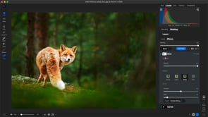 Getting Started in Effects 2026