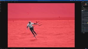 Editing Action & Birds in Photo RAW