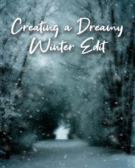 Dreamy winter forest scene with snowfall edited in ON1 Photo RAW featured in Creating a Dreamy Winter Edit PDF guide