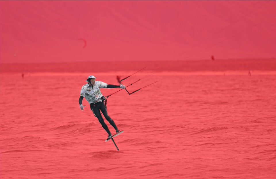 Action wildlife photo being edited in ON1 Photo RAW, demonstrating techniques for enhancing motion, clarity, and detail in fast-moving subjects.