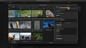 ON1 Photo RAW Editing Essentials