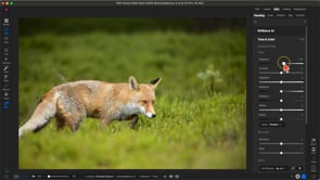 ON1 Photo RAW Editing Essentials