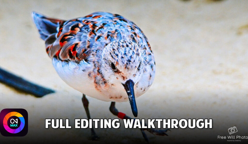 Full Editing Walkthrough