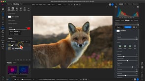 ON1 Photo RAW Editing Essentials