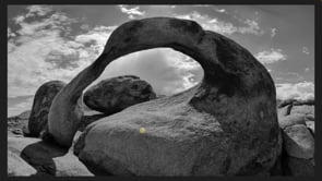 Capturing, Converting & Editing For Monochrome In Photo RAW
