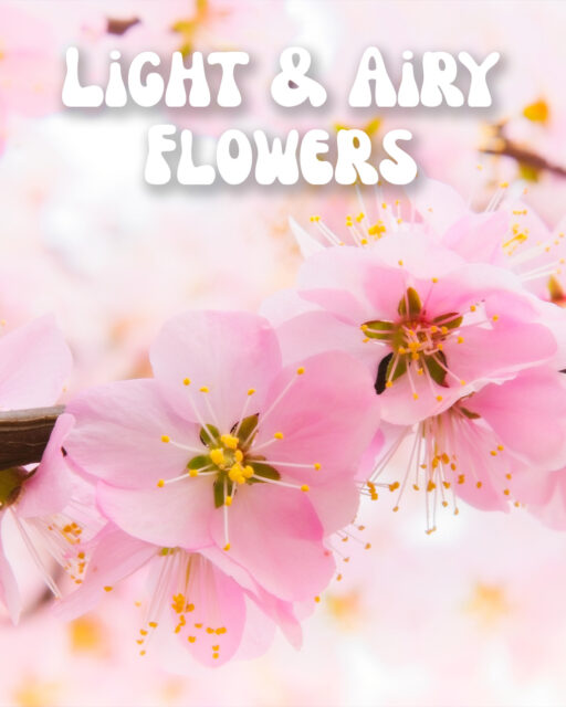 Light & Airy Flowers