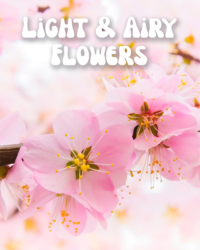Light and airy flower photo editing in ON1 Photo RAW using color tones, glow, and light leak effects
