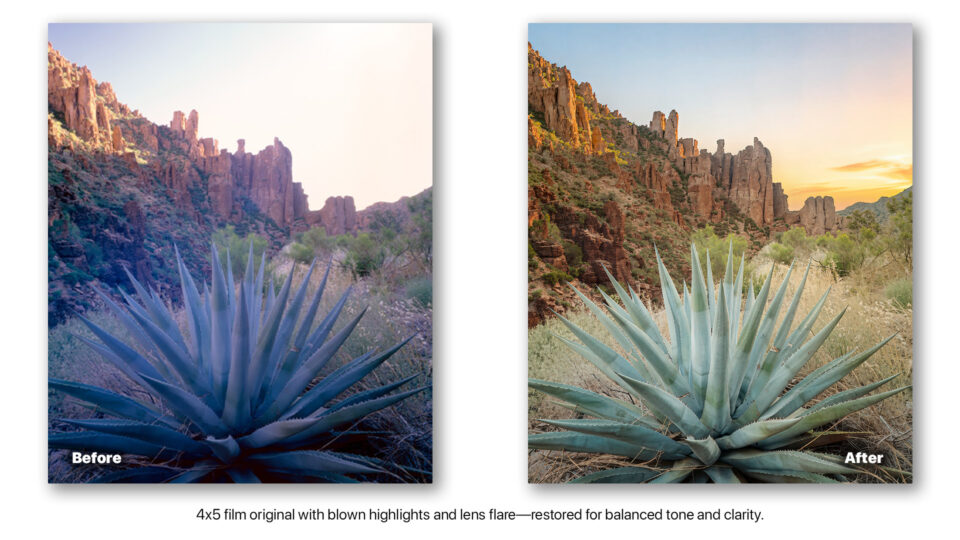Before and after AI photo restoration of desert agave landscape correcting overexposed highlights and improving clarity.