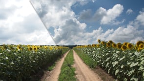 Different Approaches to Fix a Blown Out Sky