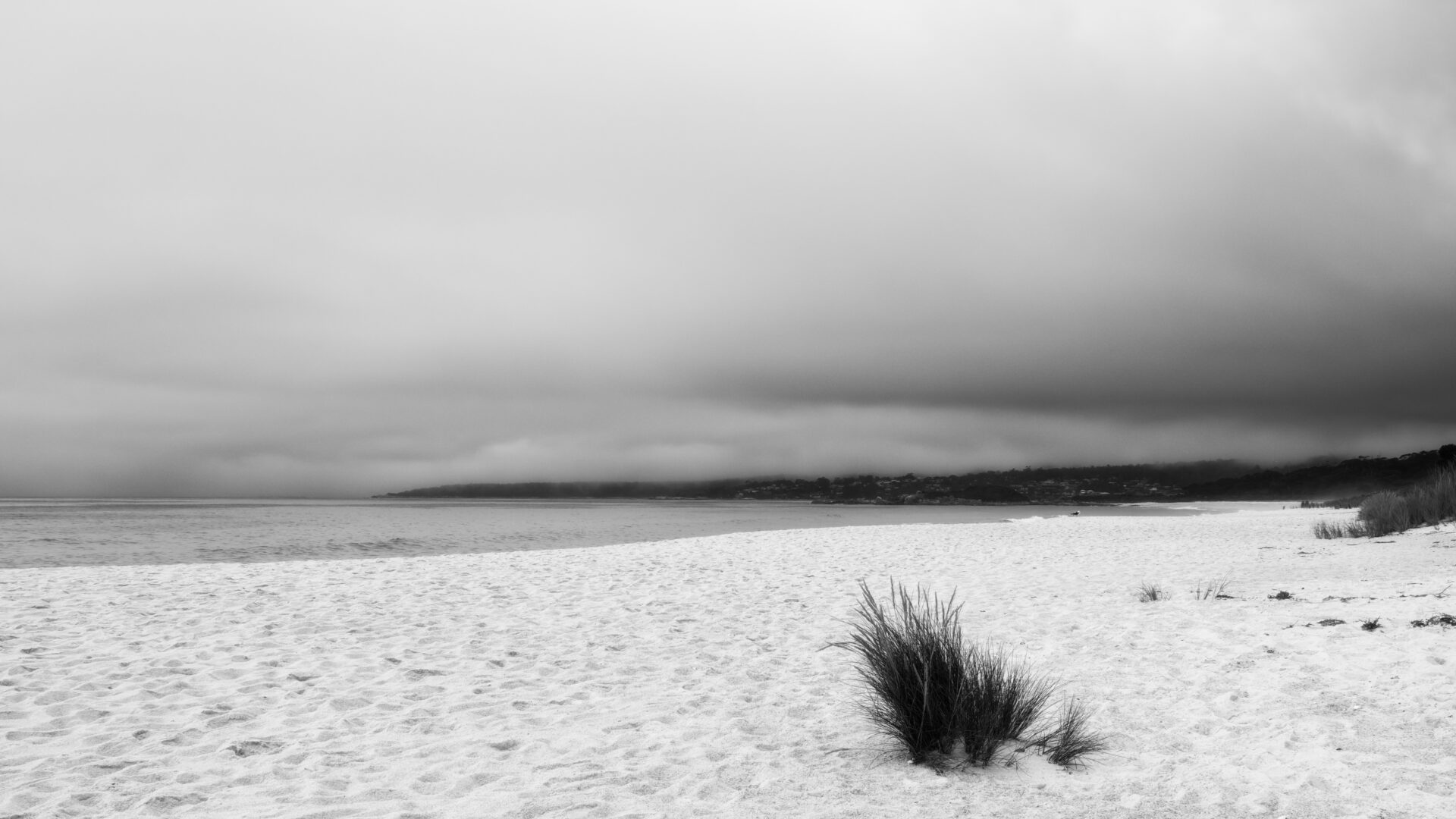 Morning Sands