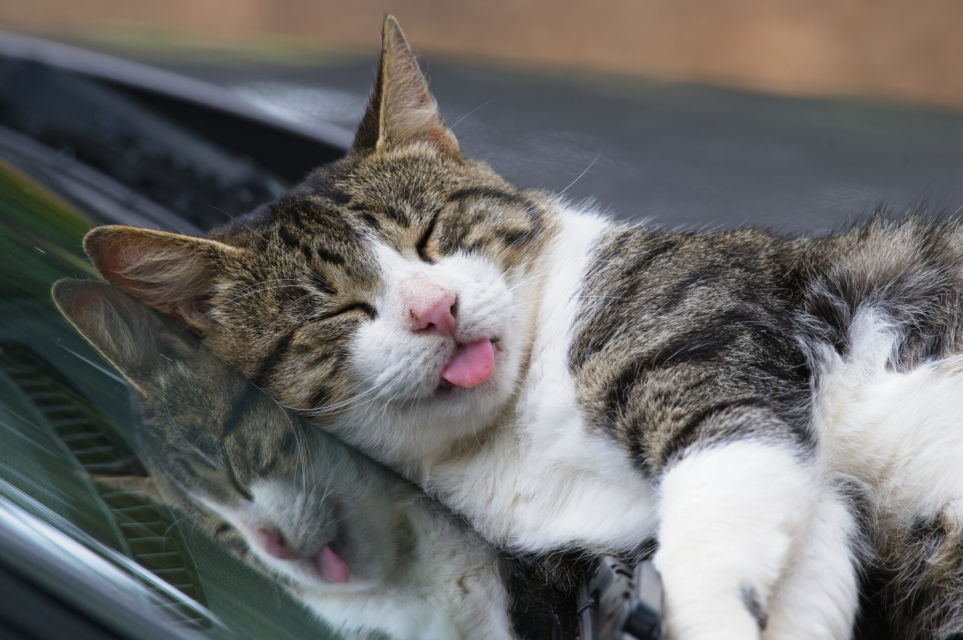 Deep sleep