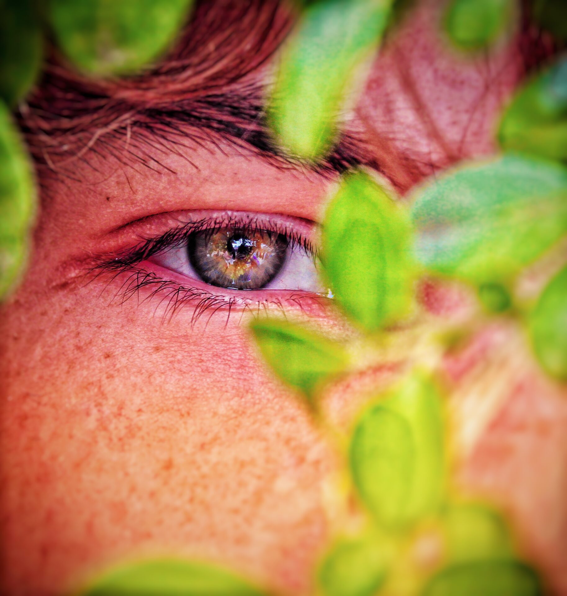 Peeking Through