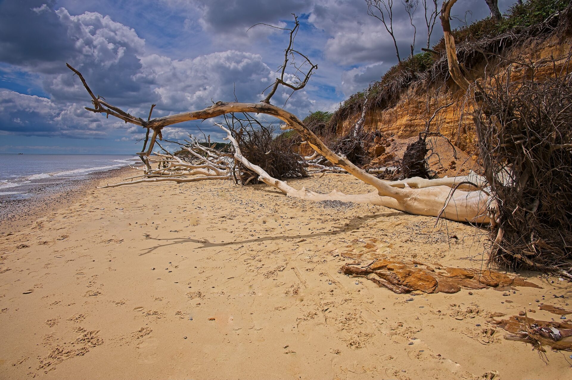 Bygone Age by Martin Eudall