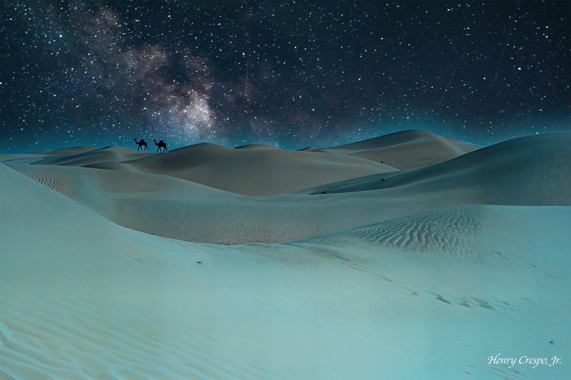 Caravan in the desert