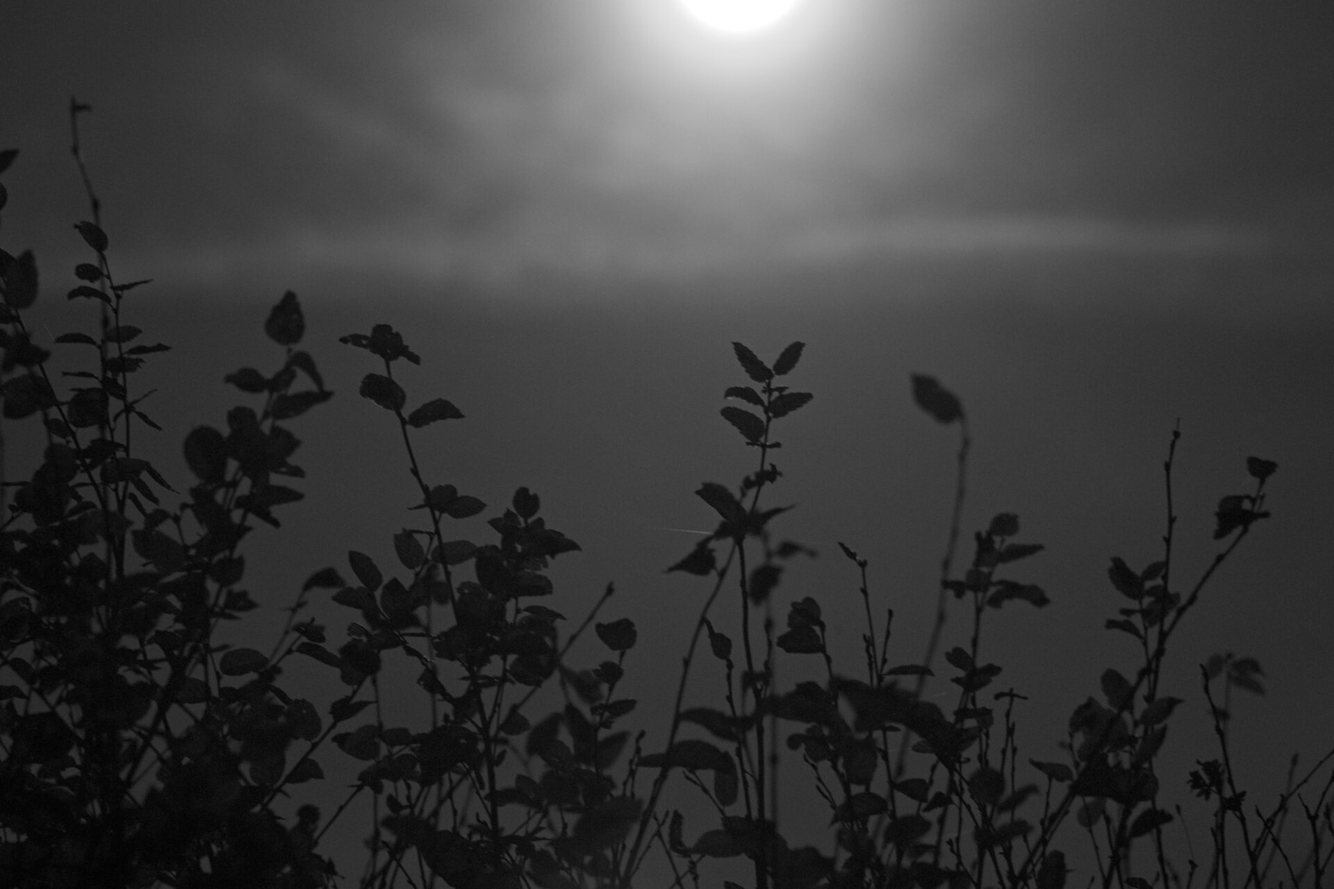 Nocturne